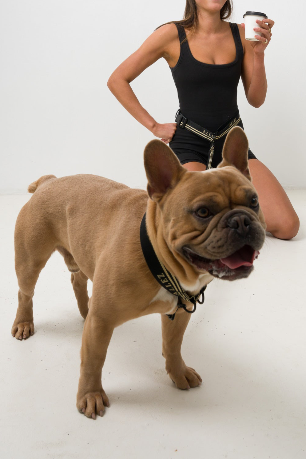 HEAVY DUTY WALKING COLLAR - black and white