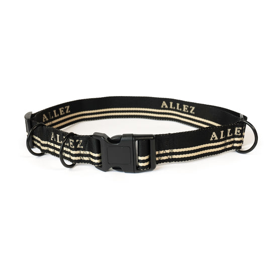 ADVENTURE Hands Free Belt