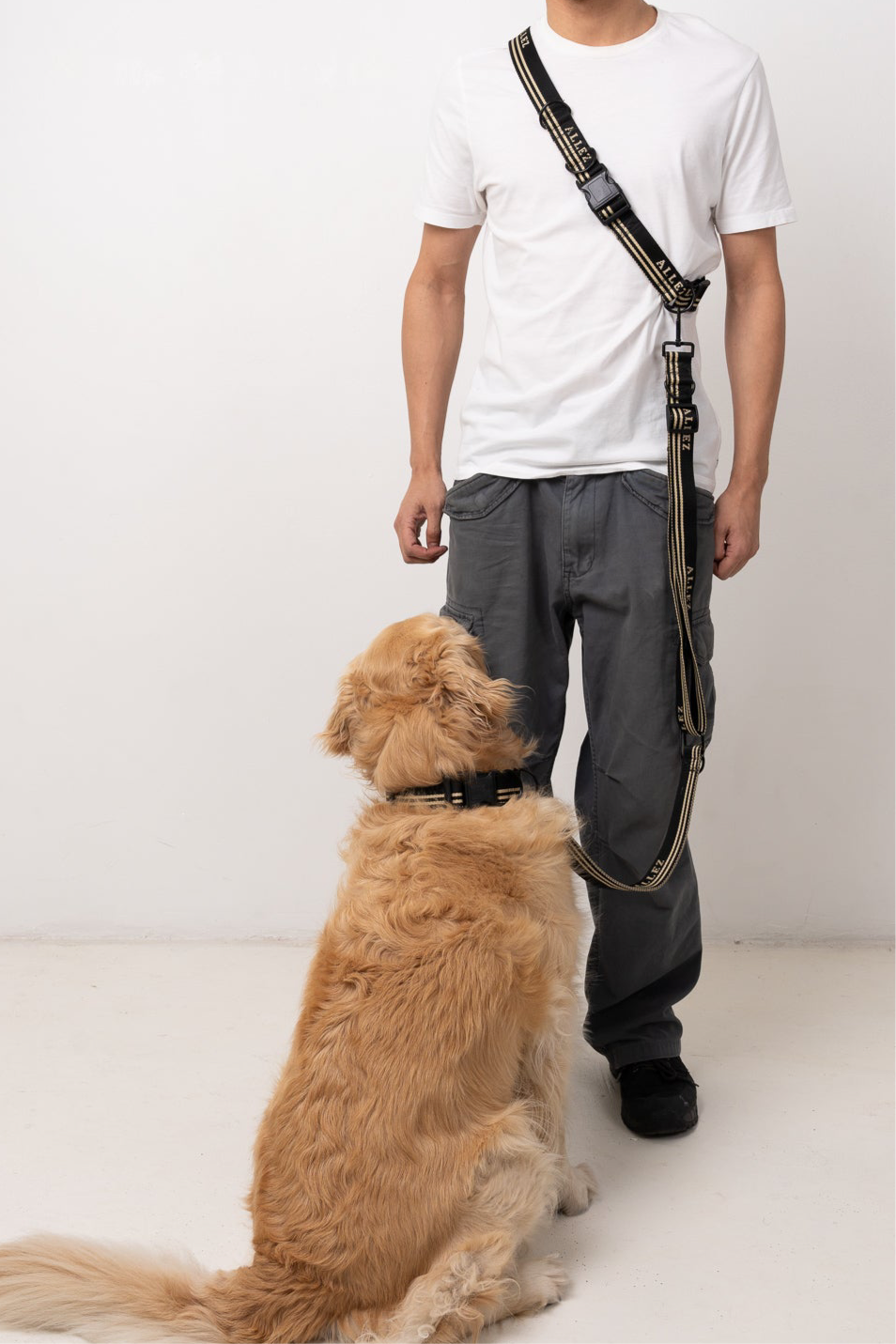 ADVENTURE Hands Free Essentials - Belt + Lead + Collar