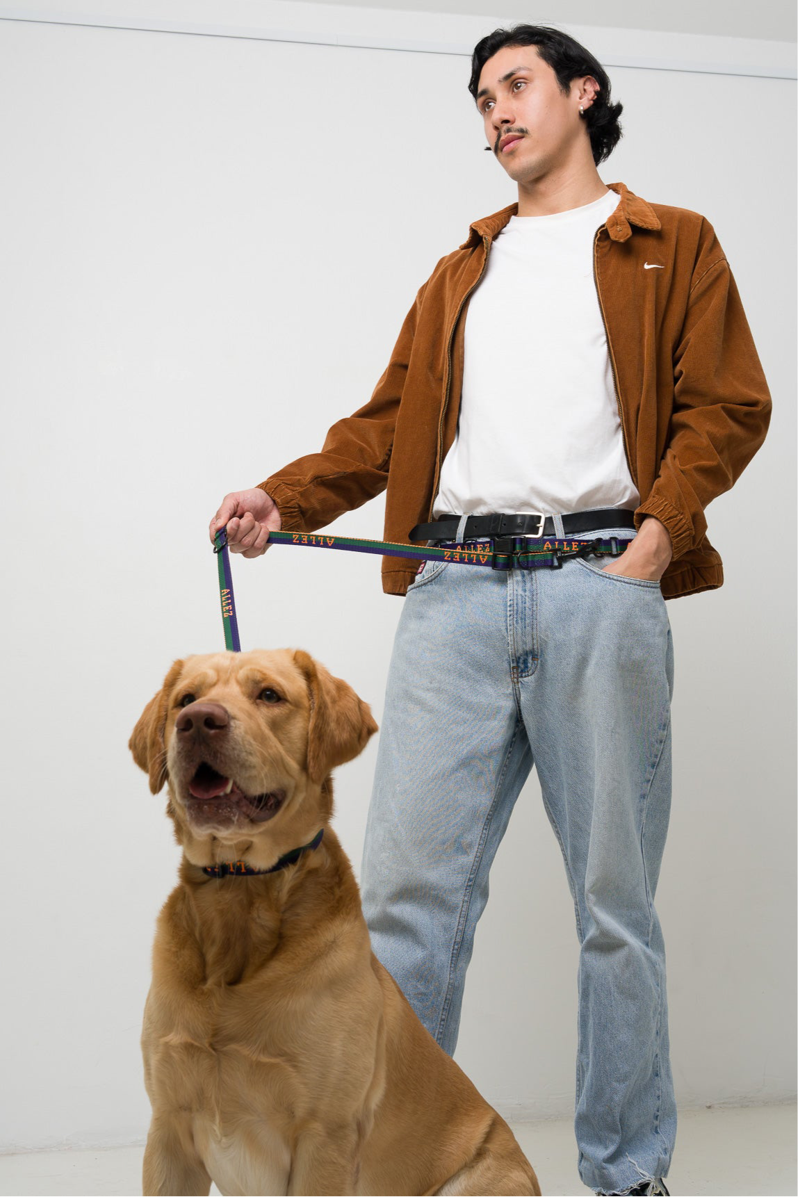 Allez sport adjustable length dog lead, easy to tether, multiple D rings, double clip dog lead for hand free dog walking