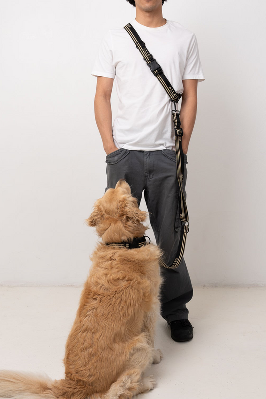 HEAVY DUTY HANDS-FREE WALKING BELT - black and white
