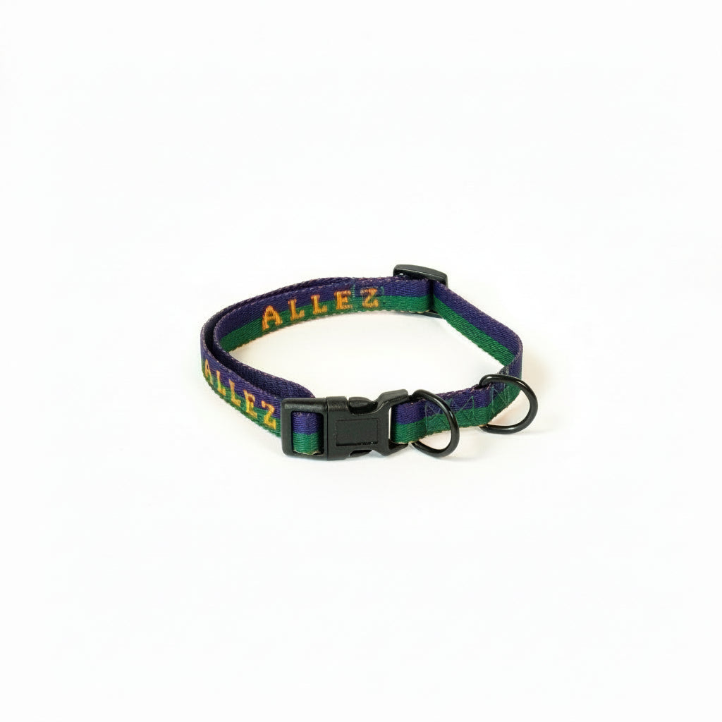 Blue and green dog collar with 2 D rings with orange 'ALLEZ' branding on a white background
