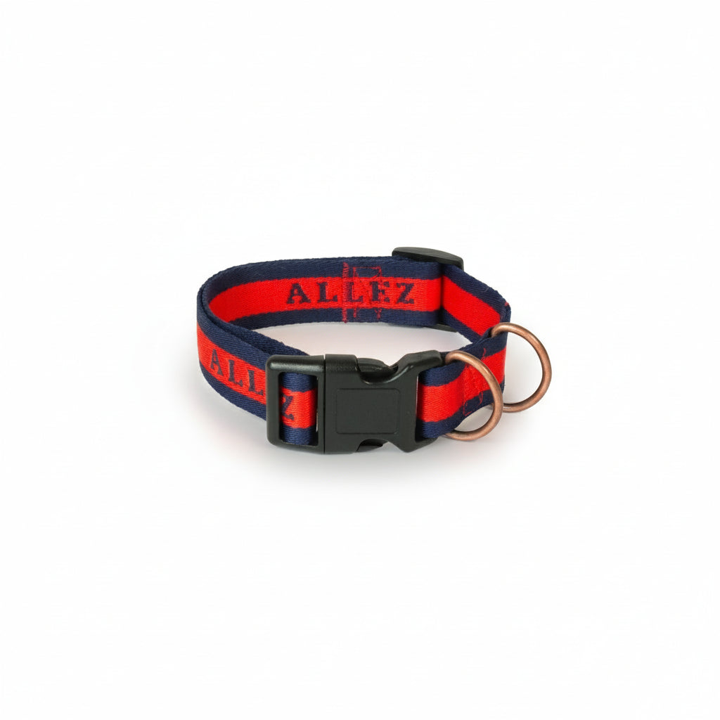 Red and blue dog collar with "Allez" branding with 2 D rings on a white background