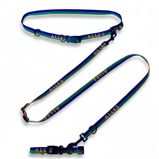 Dog collar, hands free belt and lead bundle with 'ALLEZ' branding on a white background in green and blue with orange writing. Sport series