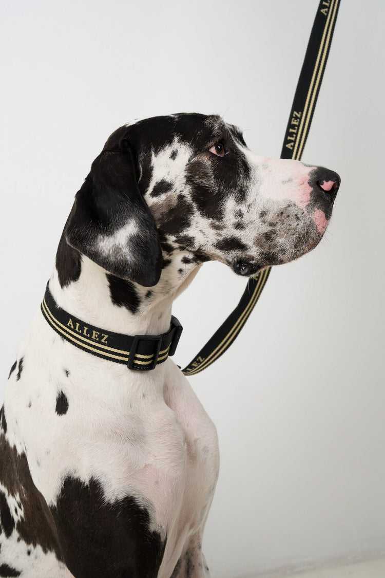 THE MULTI LEASH