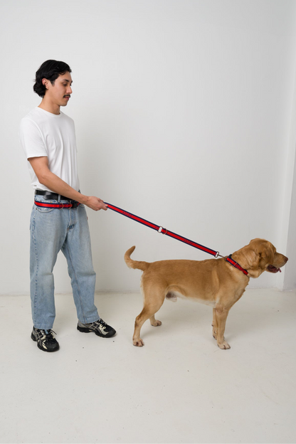 LIBERTE Multi-Function Leash