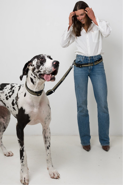 ADVENTURE Hands Free Belt