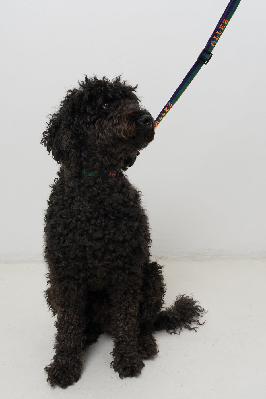 SPORT Multi Leash