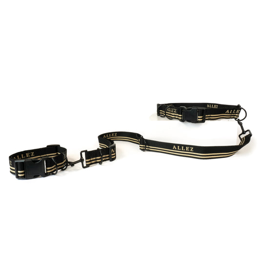 ADVENTURE Hands Free Essentials - Belt + Lead + Collar