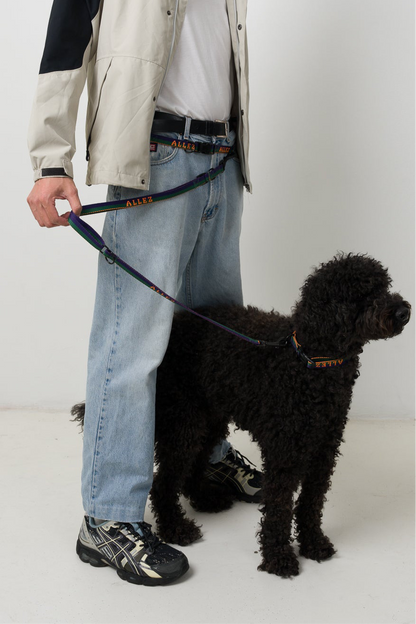 SPORT Hands Free Belt