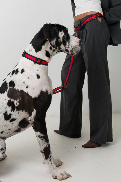 LIBERTE Hands Free Belt