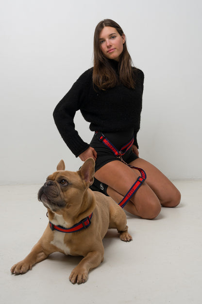 LIBERTE Multi-Function Leash