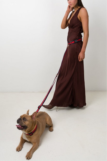 LIBERTE Multi-Function Leash