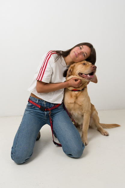 LIBERTE Hands Free Belt