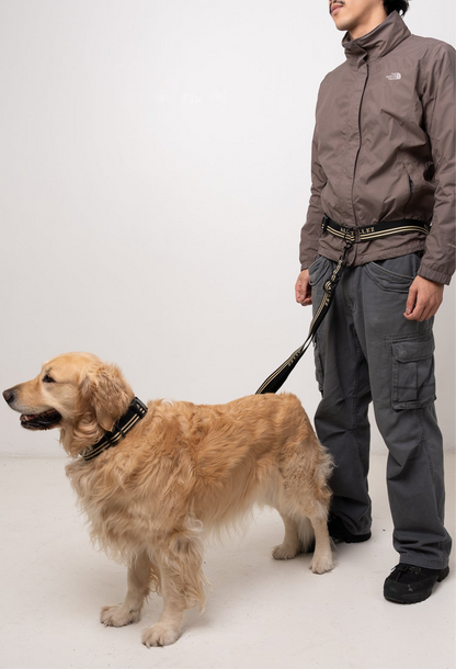 ADVENTURE Multi-Function Leash