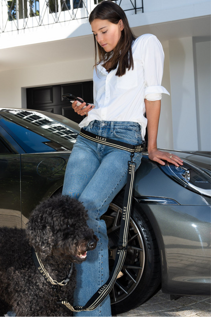 ADVENTURE Hands Free Belt