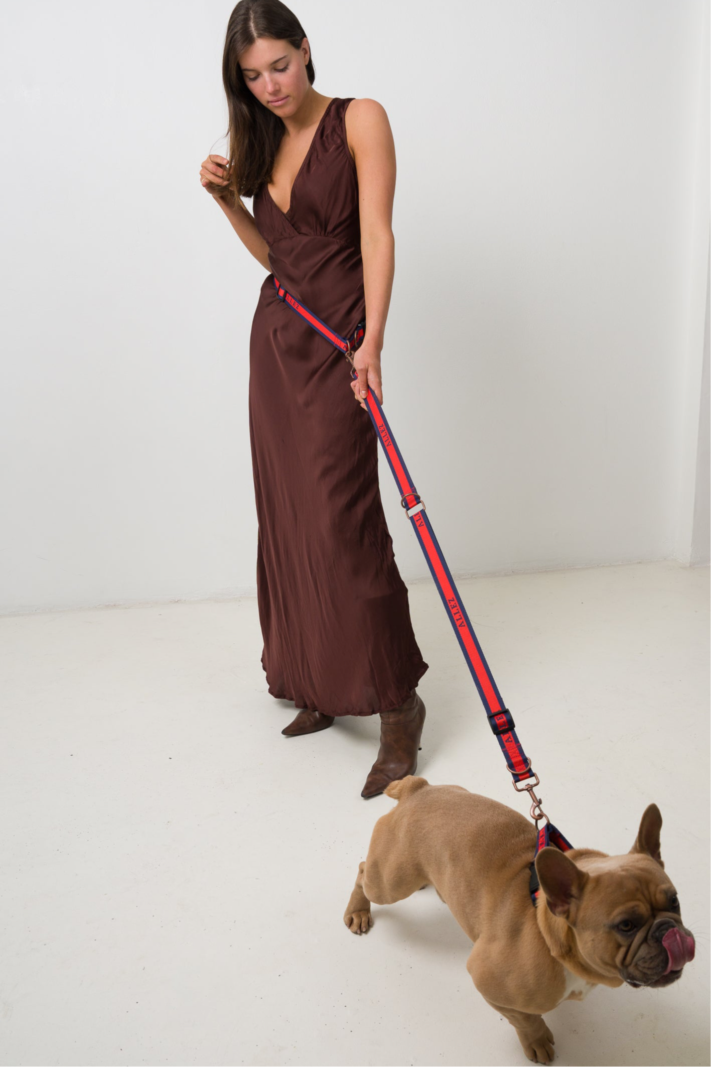 dog leash with option to use in hands free mode or with  lead with handle