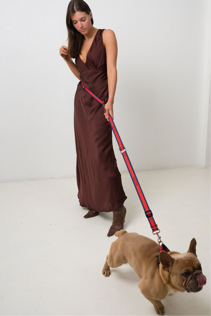 dog leash with option to use in hands free mode or with  lead with handle