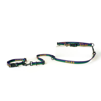 Slim Dog collar and leash set in green, blue and orange in the sport series with 'Allez' branding on a white background