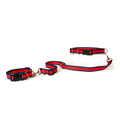 dog walking set with lead, belt and collar, suitable for puppy and dogs