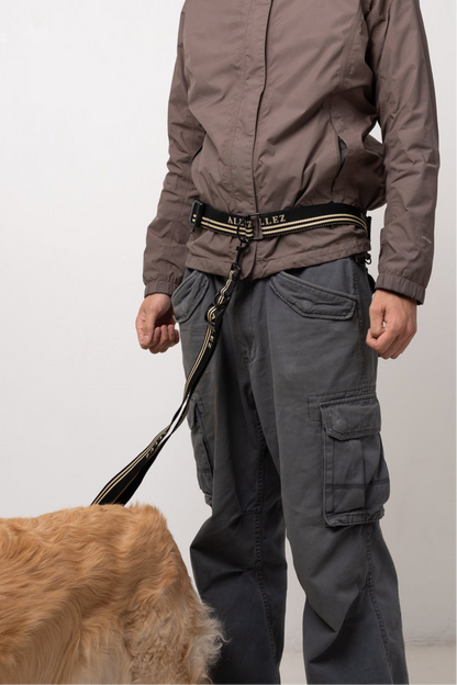 ADVENTURE Hands Free Essentials - Belt + Lead + Collar