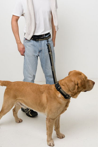 ADVENTURE Hands Free Essentials - Belt + Lead + Collar