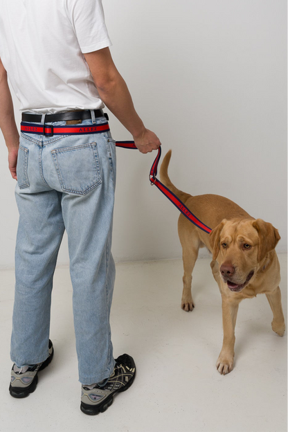 LIBERTE Hands Free Belt