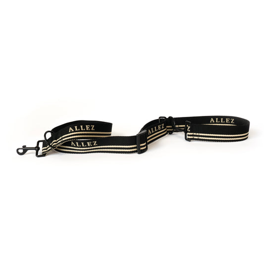 ADVENTURE Multi Leash