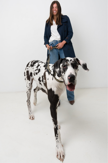 ADVENTURE Hands Free Belt