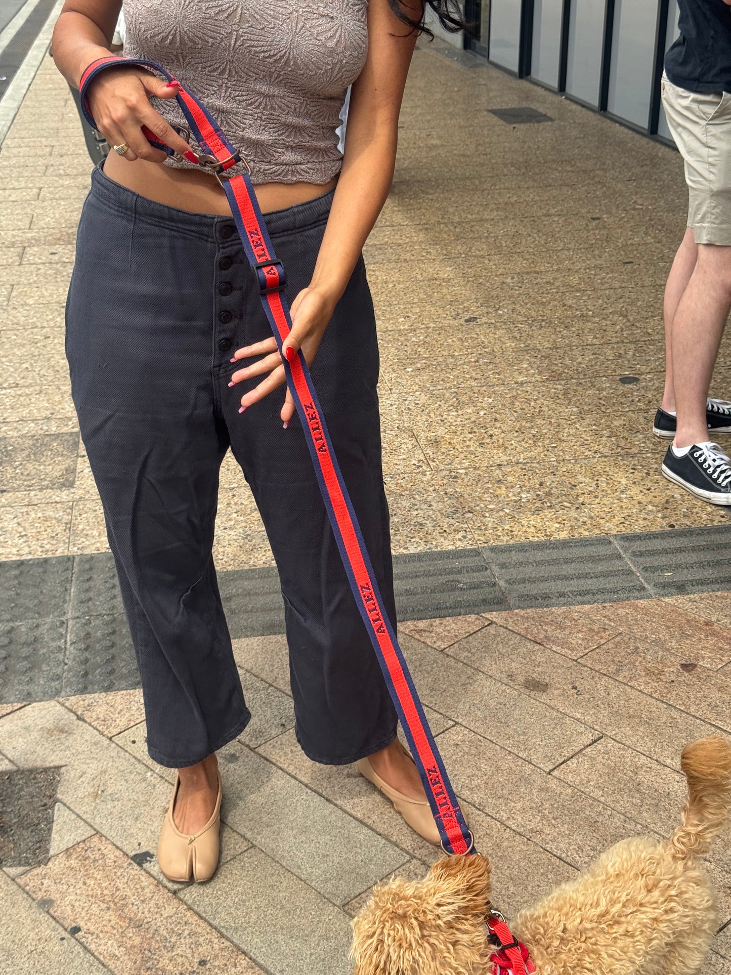 Hands Free dog walking belt, lead and collar bundle - LIBERTE