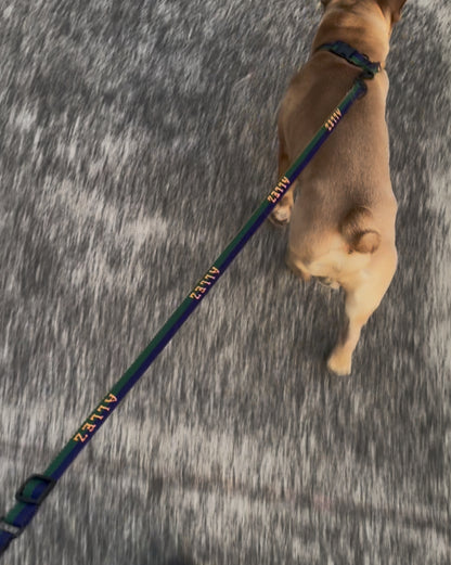 Lightweight dog collar with 2 D-Rings- SPORT