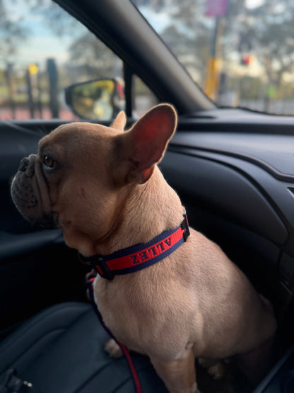 Premium Dog Collar with 2 D-Rings - Liberté