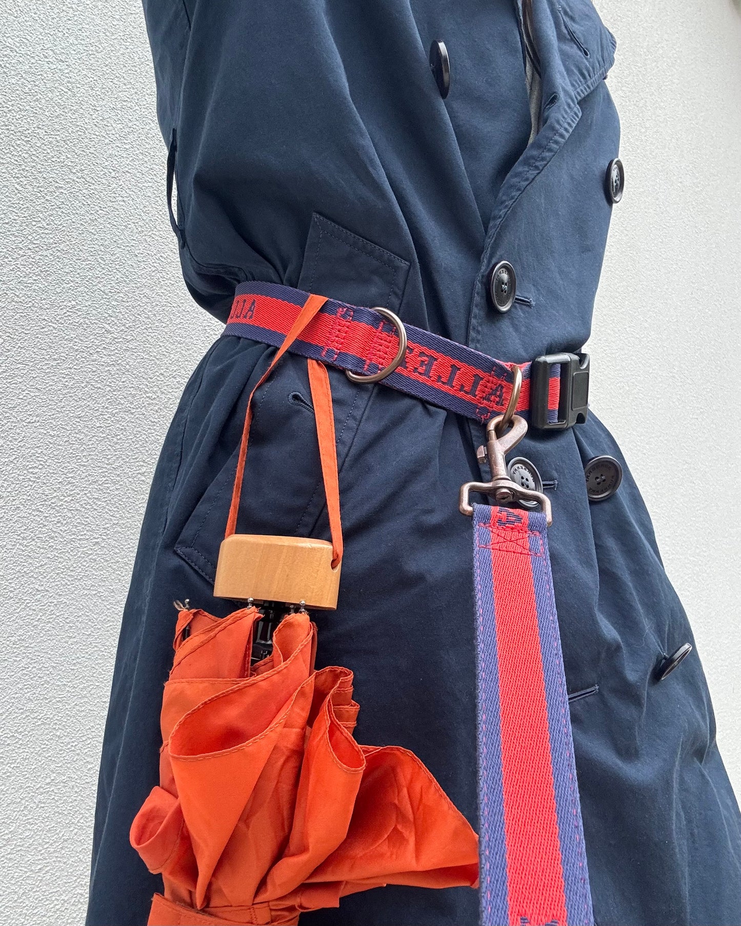 Hands Free dog walking belt, lead and collar bundle - LIBERTE