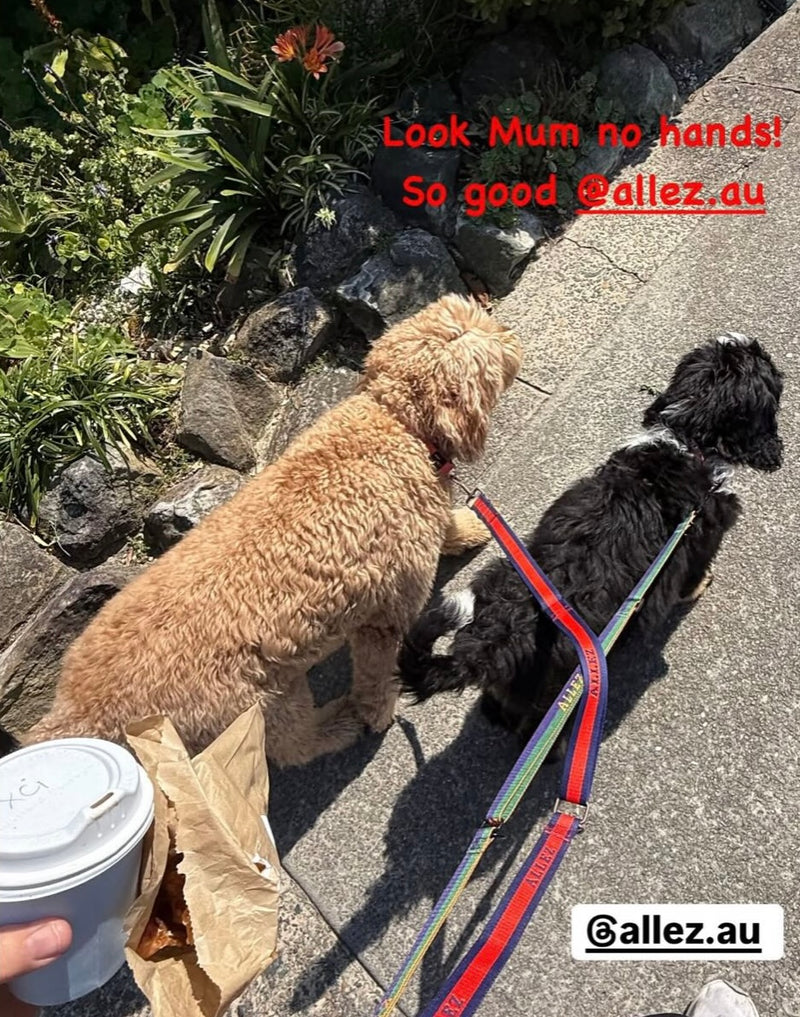 Two dogs, one on a red and blue lead, the second in blue and green lead with a person holding a coffee cup, text overlay 'Look Mum no hands! So good @allez.au