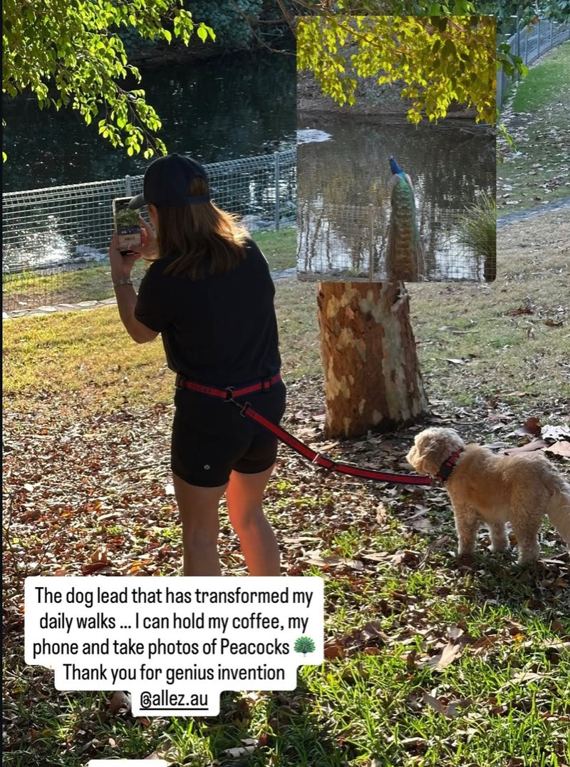 Person taking a photo with her dog attached to her hands free dog walking belt and lead in red in a park setting