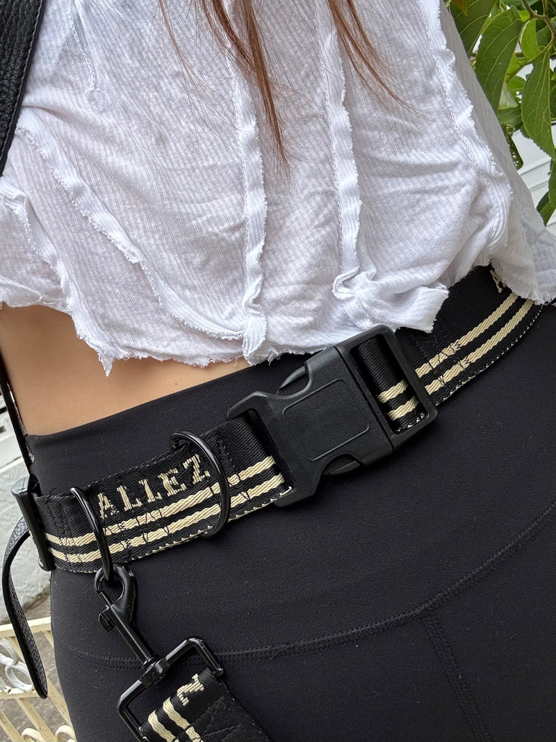 Person wearing a black dog belt with gold stripes and 'ALLEZ' branding.