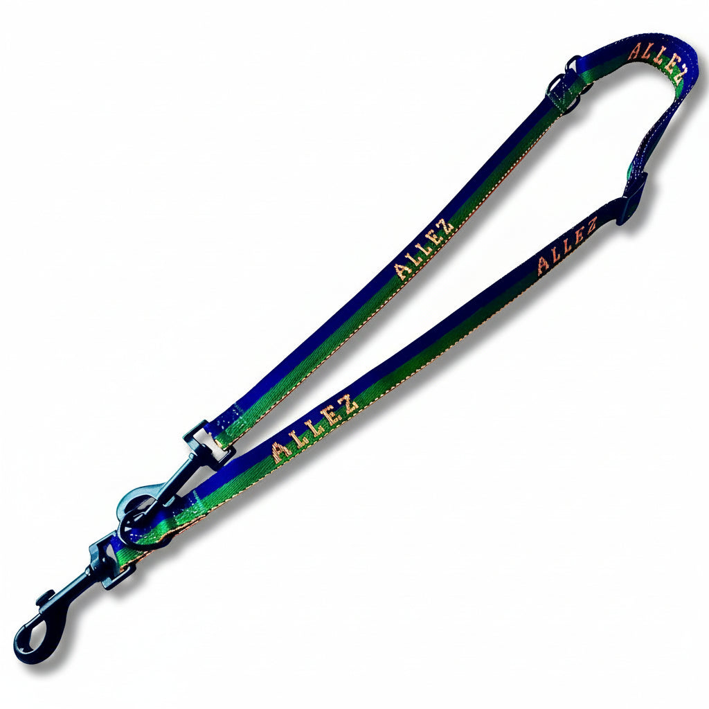 Dog leash with 'ALIEZ' branding on a white background. This the Allez sport  green and blue lead. Adjustable and easily convertible from standard to training lead. Easy to tether your dog anywhere with the multiple attachment points.
