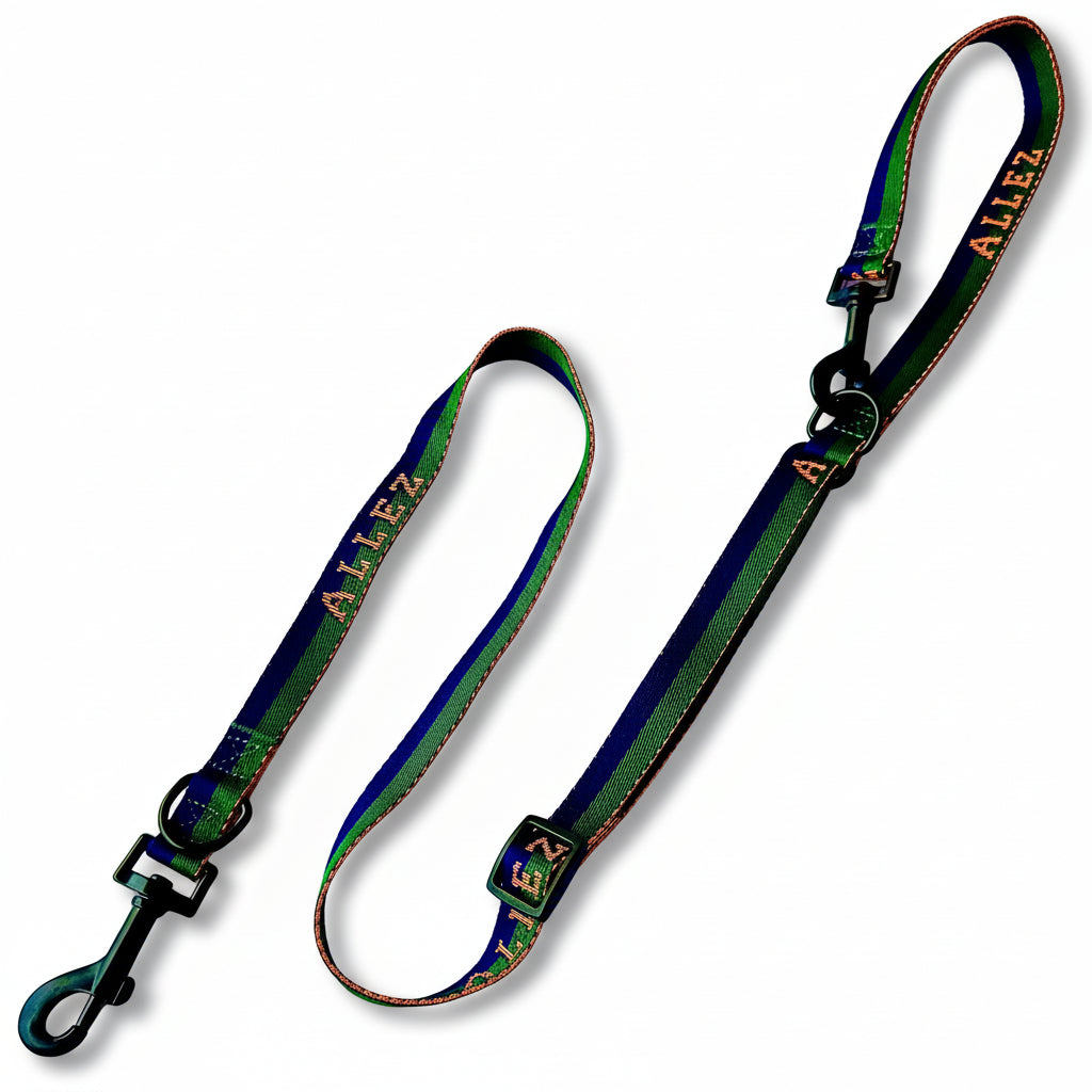 Allez multi function adjustable Dog leash with green and blue pattern on a white background. This lead converts from standard to training lead.
