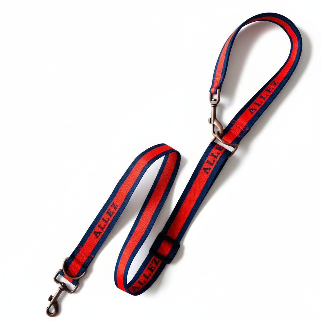 Red and blue dog leash with 'Alek' branding on a light gray background