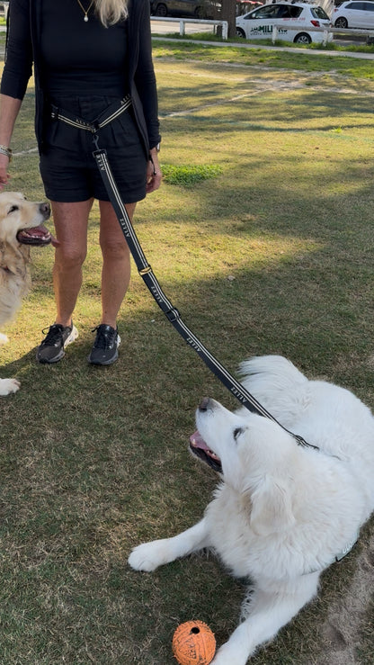 Heavy-duty Hands Free Dog Walking Belt - Adventure