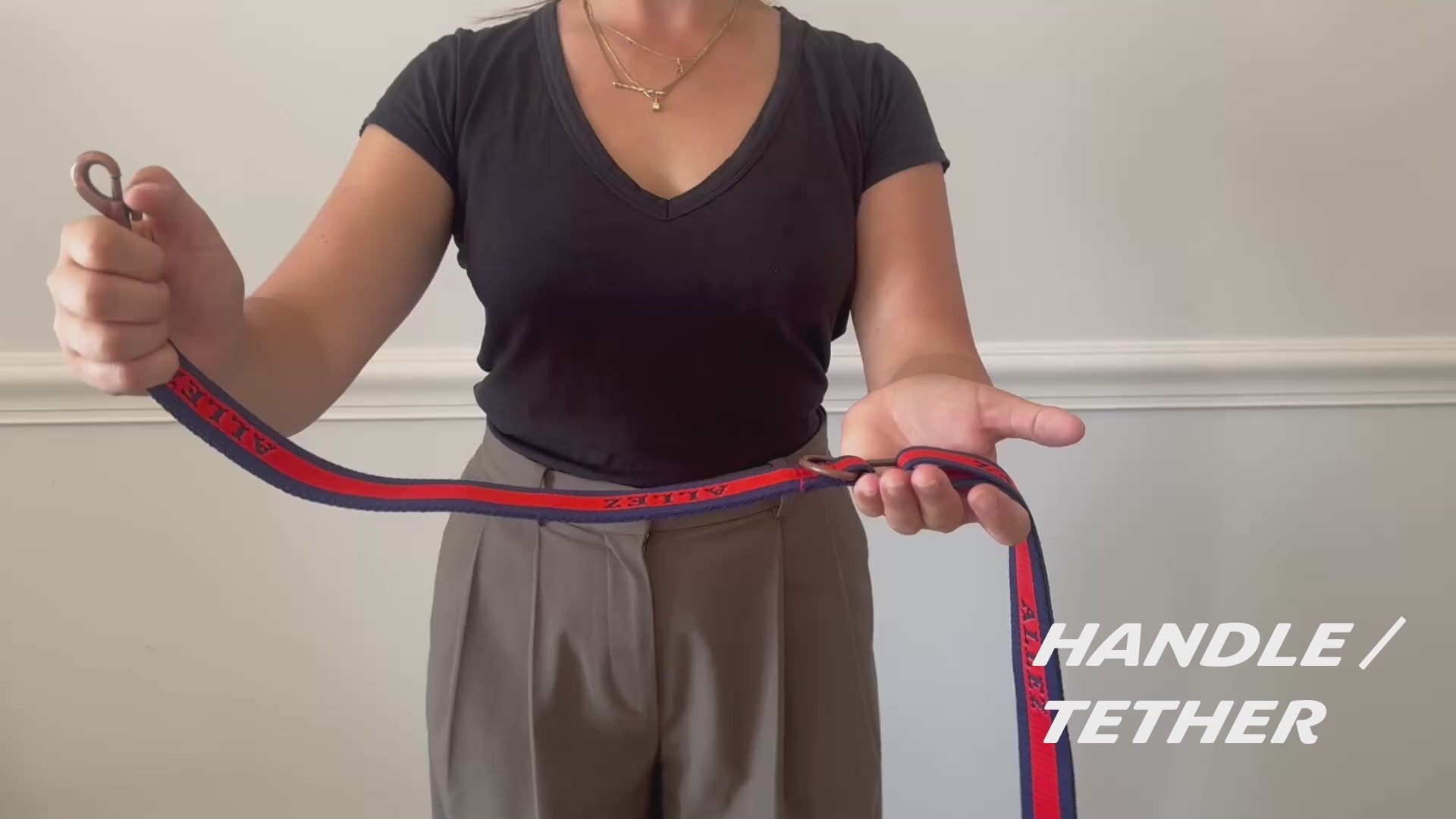 Load video: Allez multi functional dog lead. Instructions on how to adjust length and convert from standard, training to tether mode.